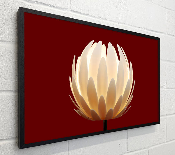 Glow Of The Flower