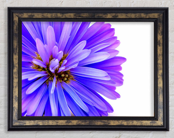 Soft Purple Petals Framed Print