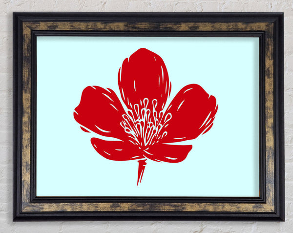 Red On Baby Blue Framed Print
