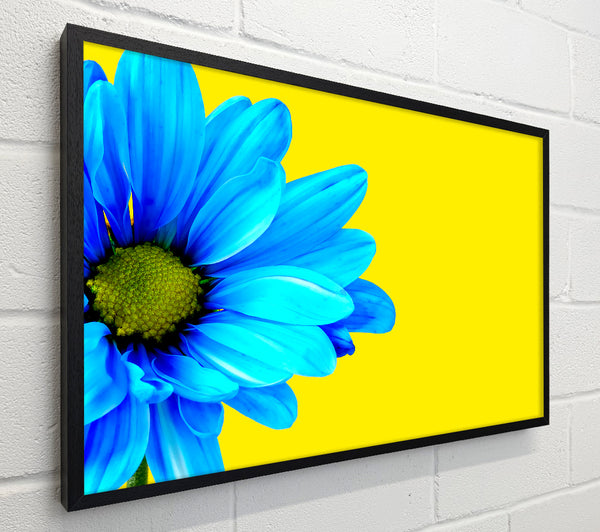Blue Daisy On Yellow