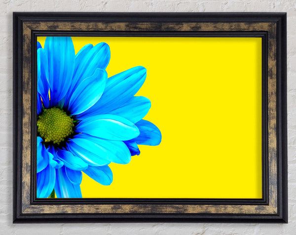 Blue Daisy On Yellow Framed Print