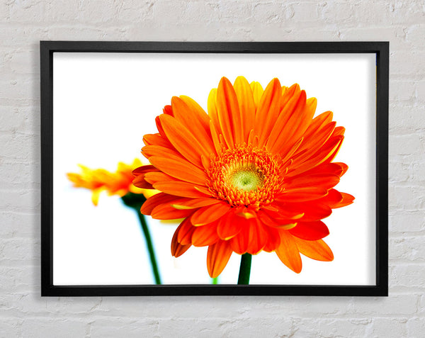 Orange Flammen