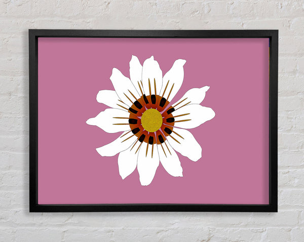 White Daisy Pinks