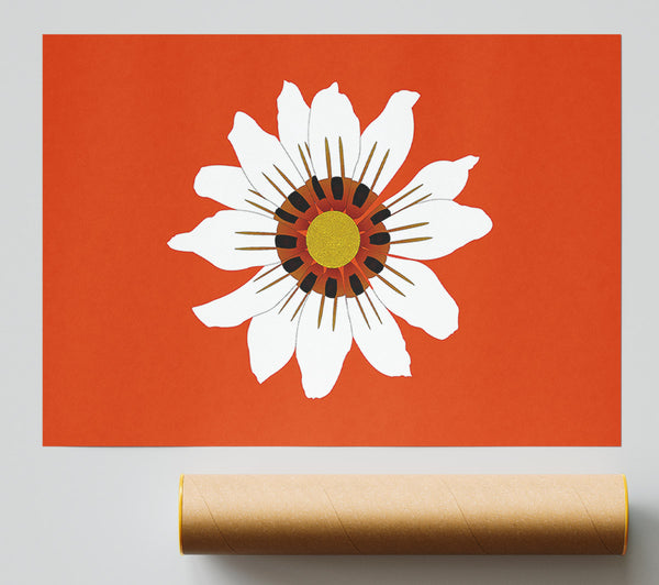 White Daisy Oranges Print