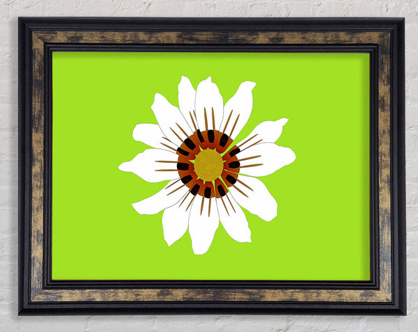 White Daisy Greens Framed Print