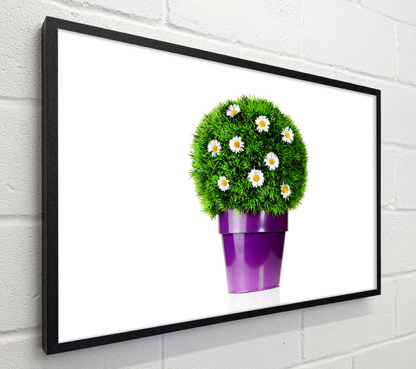 White Daisy Pot