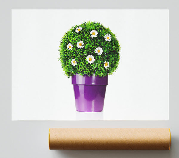 White Daisy Pot Giclee Print