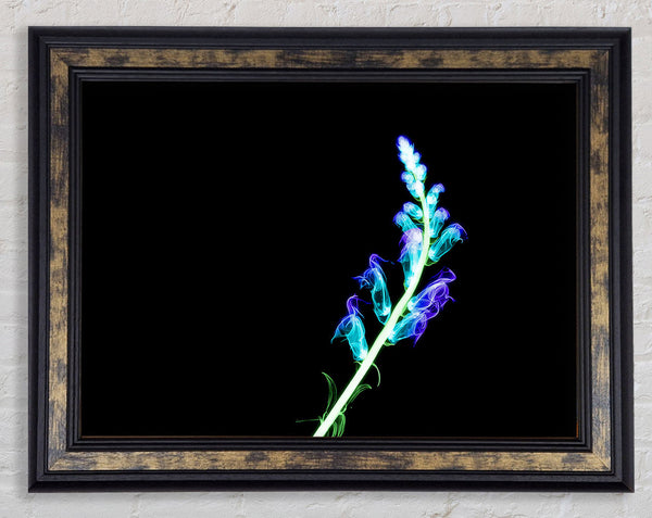 X-Ray Purple Framed Print