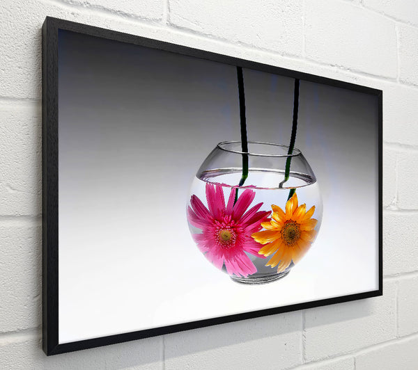 Gerbera Fishbowl B n W