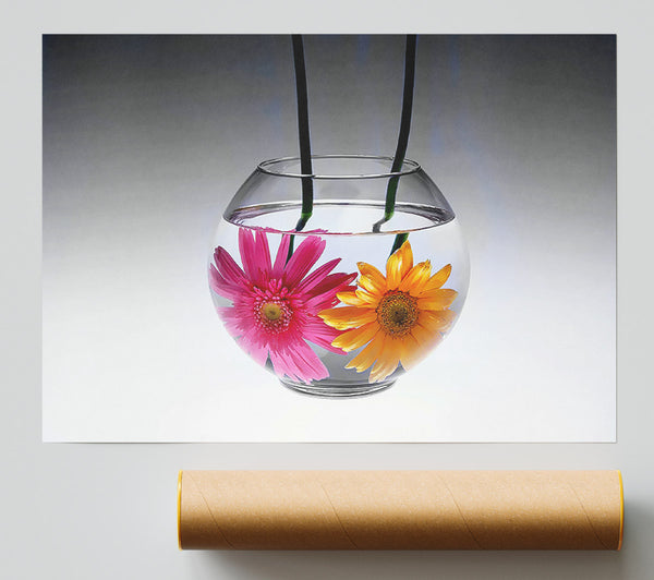 Gerbera Fishbowl B N W Poster