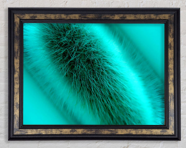 Fur Stem Framed Print