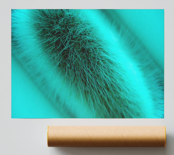 Fur Stem Poster