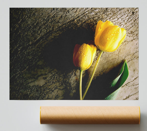 Yellow Tulip Duo Poster