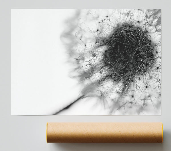 Dewdrop Heaven Poster