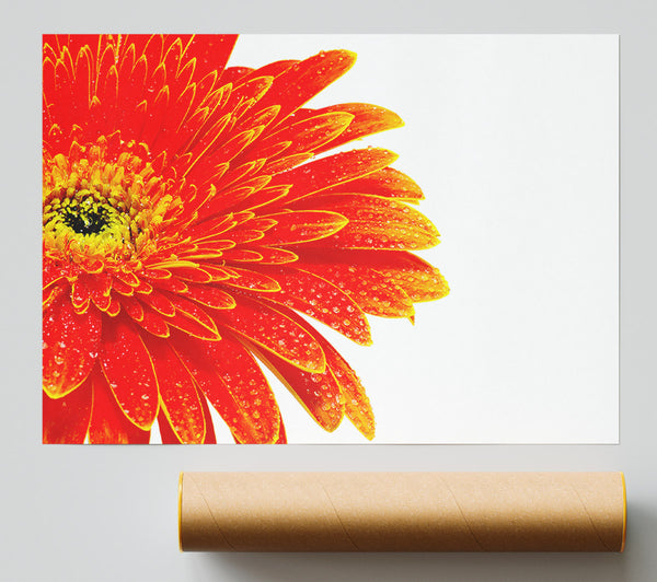 Lava Petals Print
