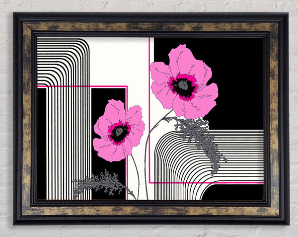 Pink Poppy Stripes Framed Print