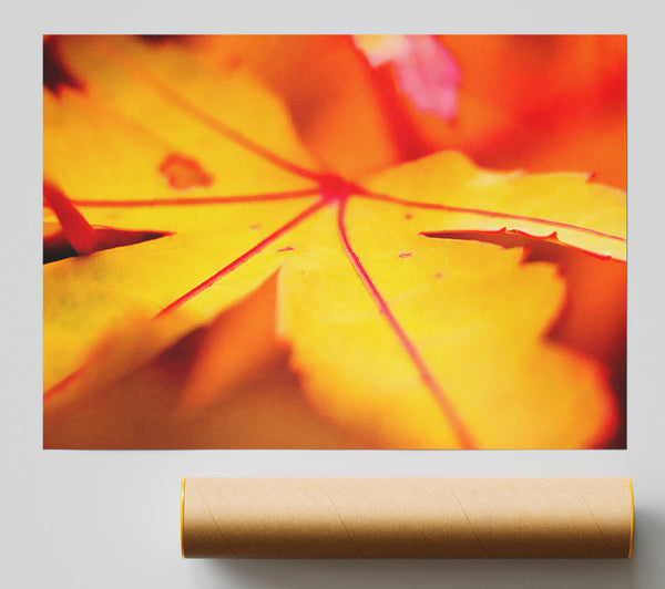 Orange Winter Leaf Giclee Print