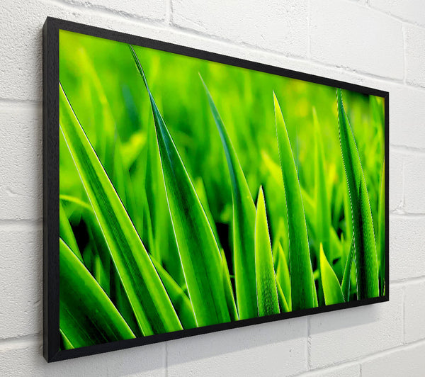 Green Leaf Shafts
