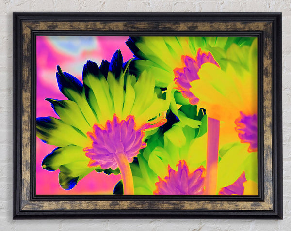 Psychedelic Petals Framed Print