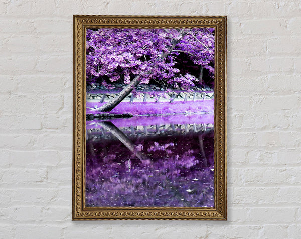 Lilac Walkway Framed Print