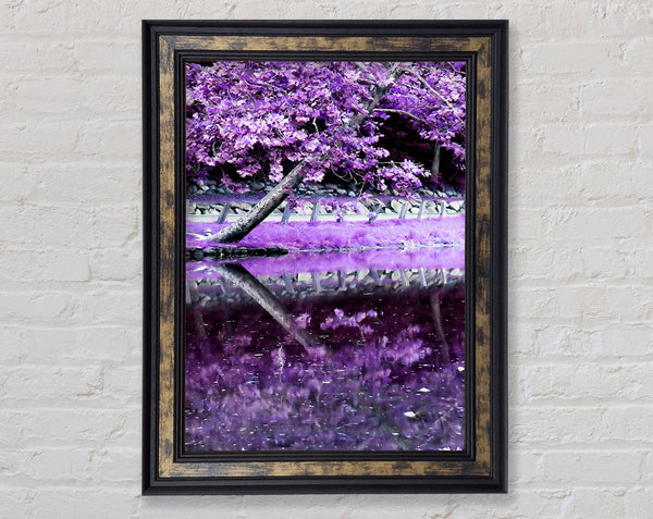 Lilac Walkway Framed Print