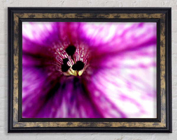 Stunning Cerise Centre Framed Print