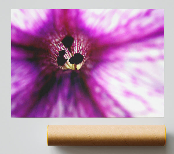 Stunning Cerise Centre Poster