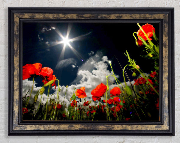 Poppy Field Sun Star Framed Print