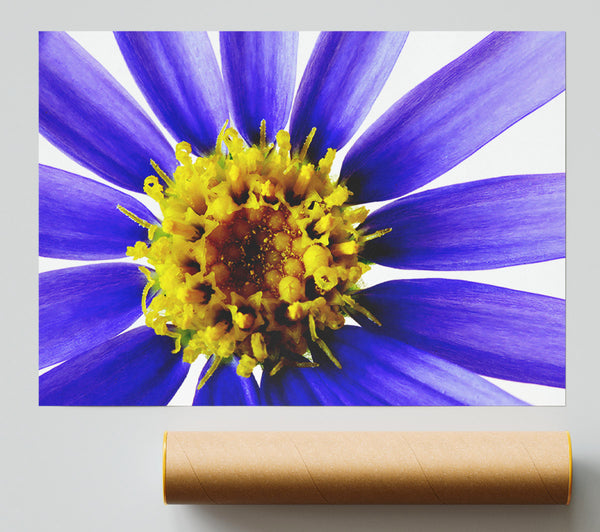 Purple Petal Beauty Giclee Print
