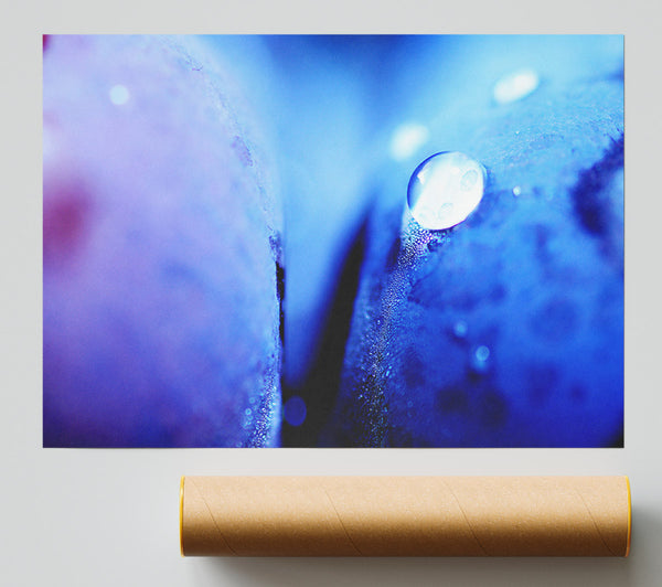 Blue Petal Water Droplet Giclee Print