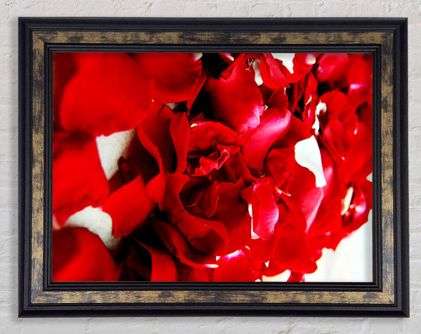 Red Galore Framed Print