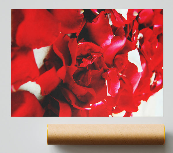 Red Galore Poster