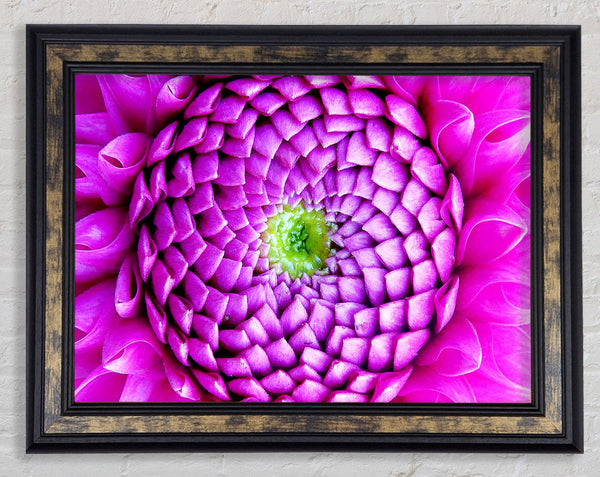 Pink Petal Ocean Framed Print