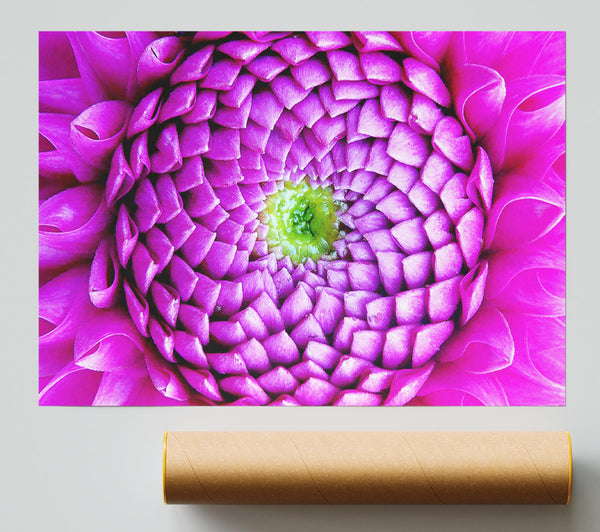 Pink Petal Ocean Giclee Print