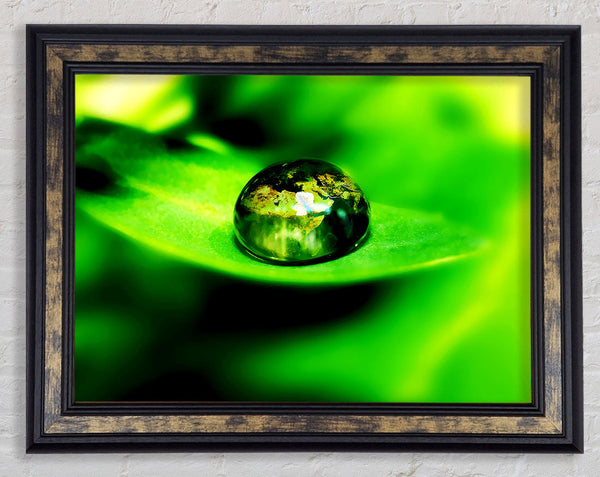 Green Leave Water Droplet Framed Print
