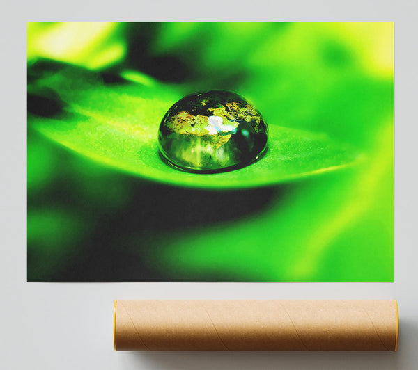 Green Leave Water Droplet Print