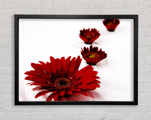 Red Gerbera Heads Framed Print