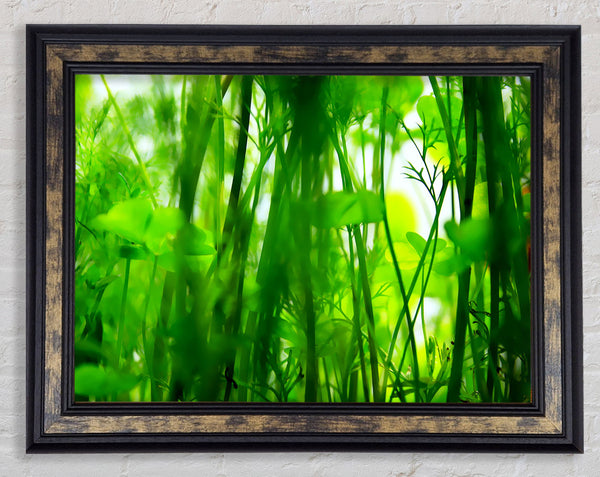 Fairies Green Jungle Framed Print