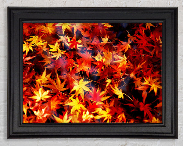 Herbstspray