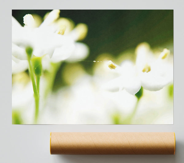 White Flower Heaven With Web Print
