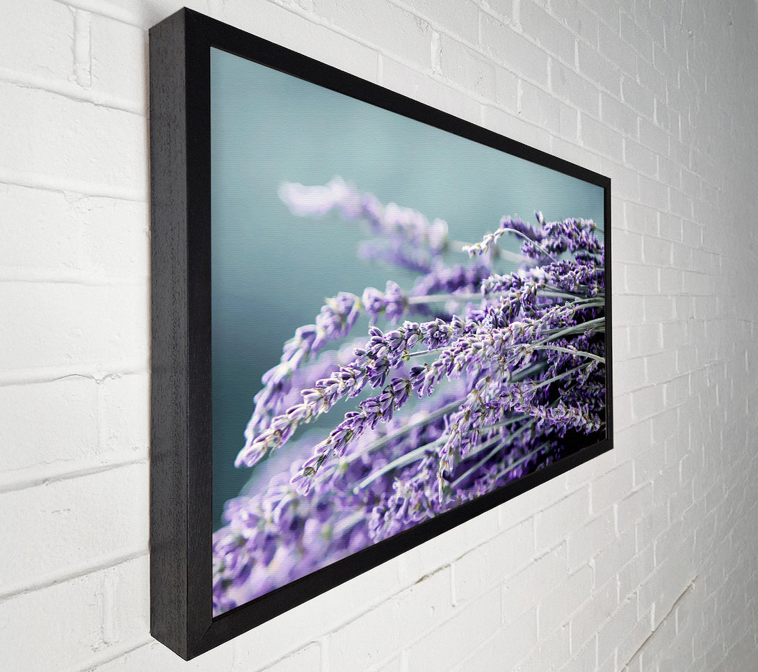  A Canvas Print of Heather Canvas Art