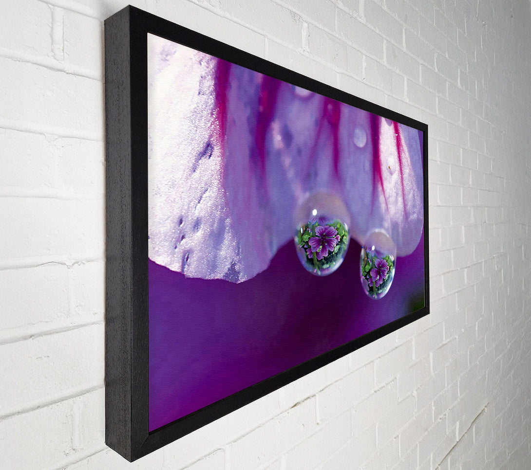  A Canvas Print of Reflections Of A Water Droplet Canvas Print