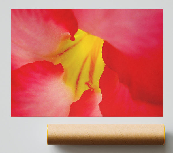The Flowers Core Print