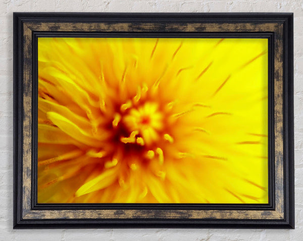 Yellow Beauty Framed Print