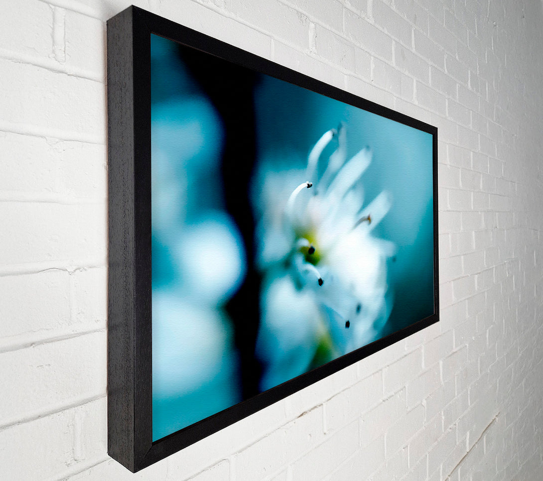  A Canvas Print of Apple Blossom Canvas Wall Art