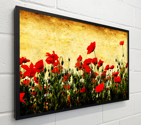 Poppy Field Golden Skys