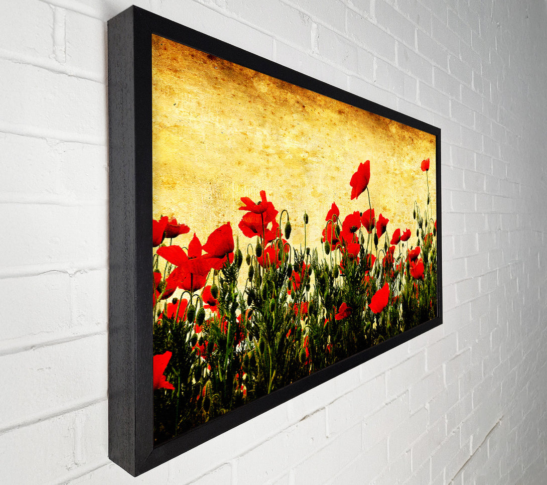  A Canvas Print of Poppy Field Golden Skys Canvas Wall Art