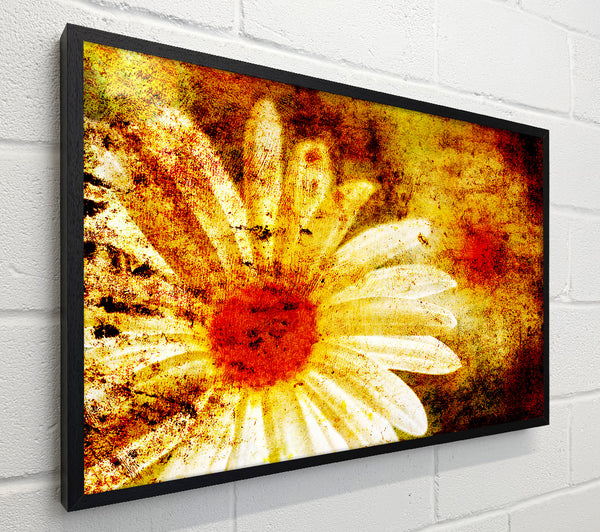 Yellow Daisy Splash