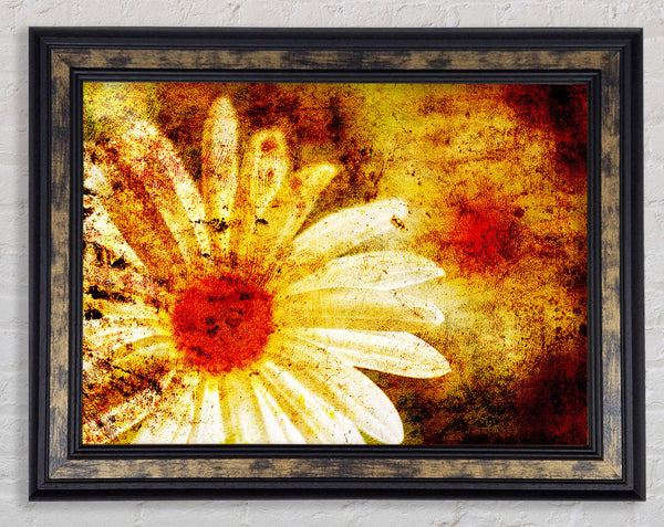 Yellow Daisy Splash Framed Print