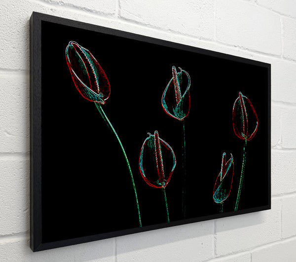 Abstarct Neon Night Flowers